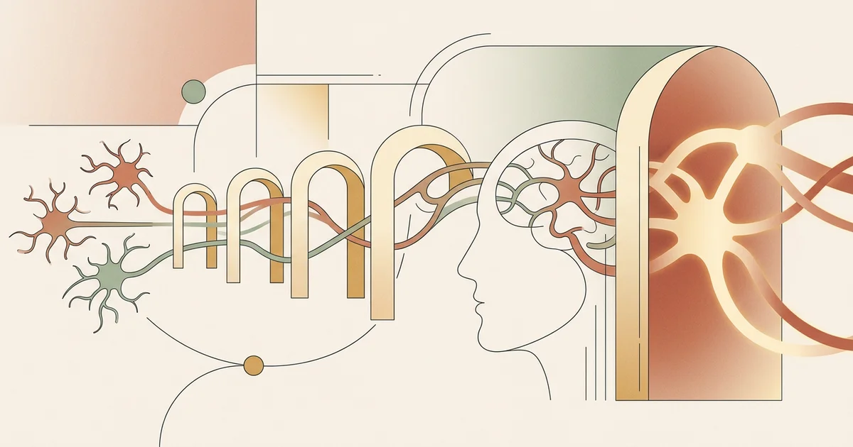 Memory Trace Strengthening: How Review Timing Determines Long-Term Retention